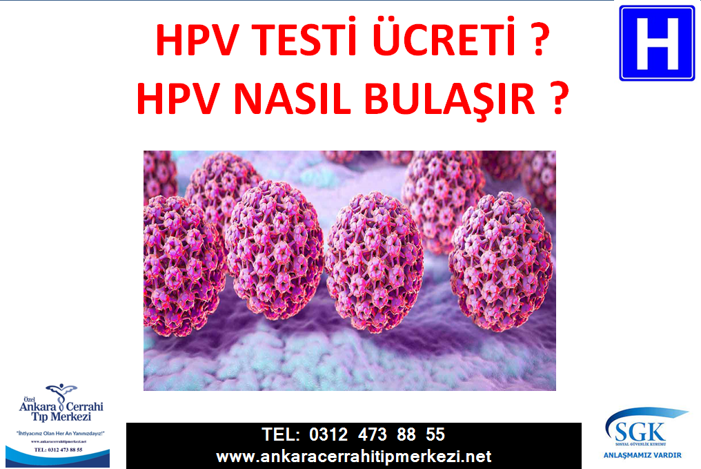 hpv testi